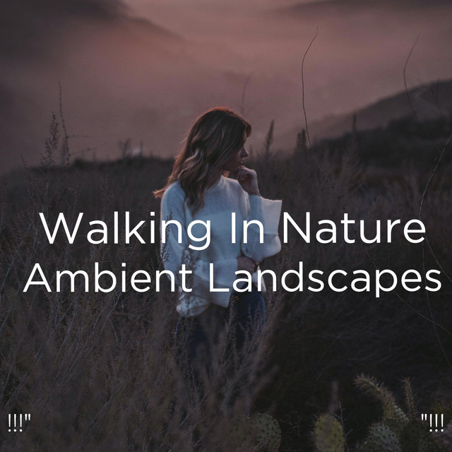 !!!" Walking In Nature Ambient Landscapes "!!! cover art