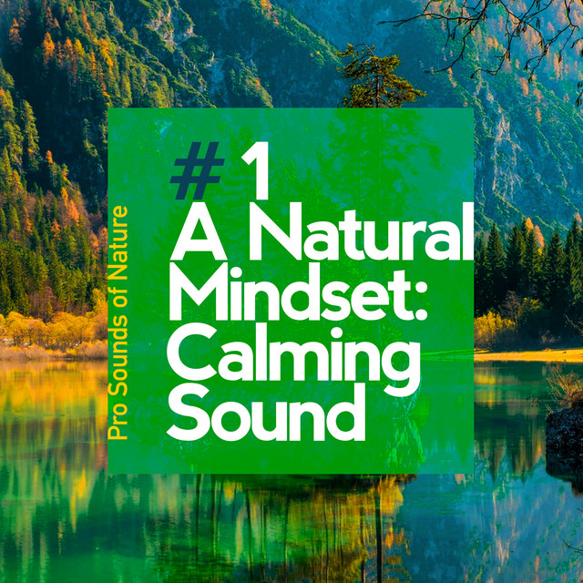 # 1 A Natural Mindset: Calming Sound - Album by Pro Sounds of Nature ...