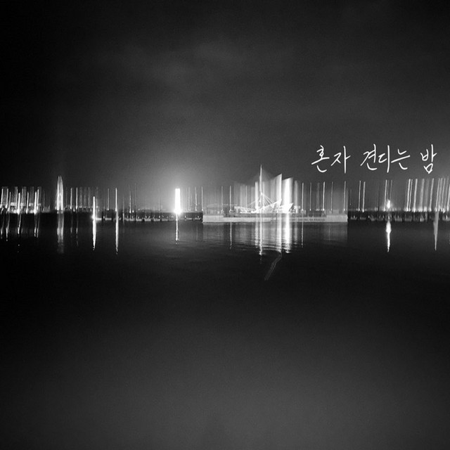혼자 견디는 밤 cover