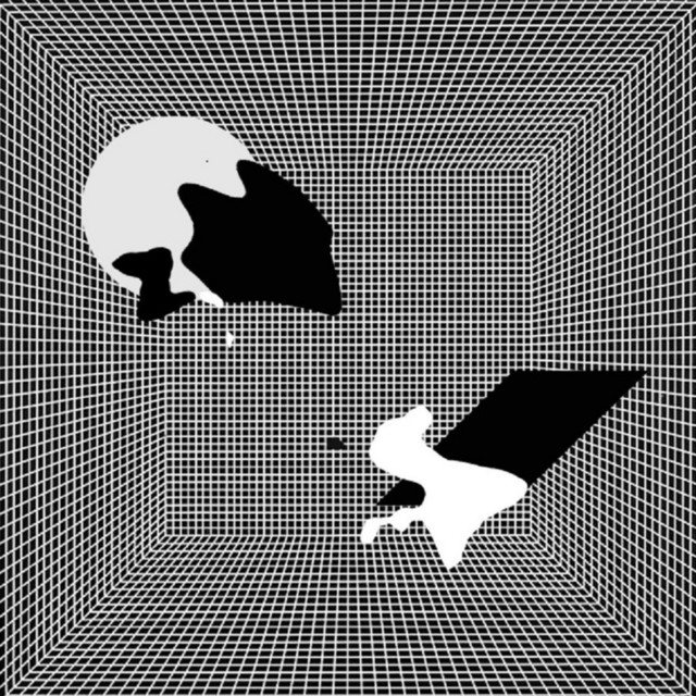 Here Today cover