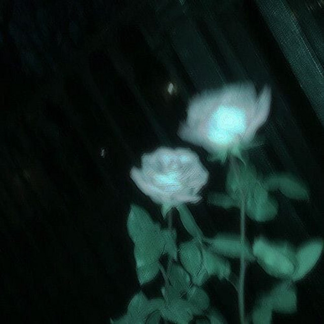 Quiet Hours