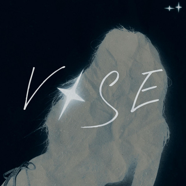 Vise cover art