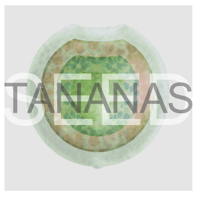 Seed cover