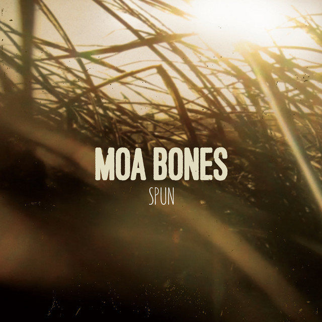 Moa Bones Photo