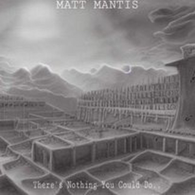 There's Nothing You Could Do cover art