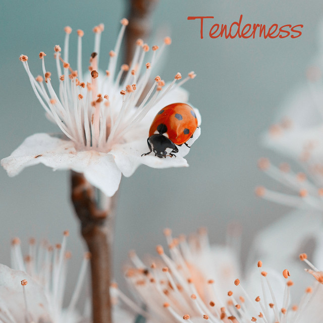 Tenderness cover art