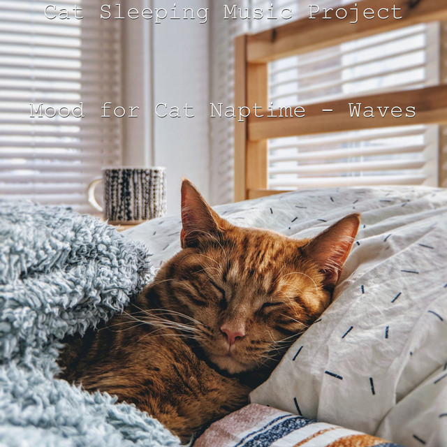 Mood for Cat Naptime - Waves cover art