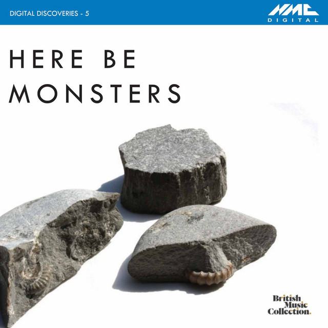 Regenstimmen cover art