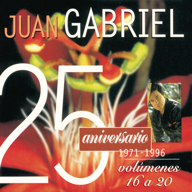 25 Aniversario 1971-1996 Edición, Volúmenes 16 a 20 by Juan Gabriel