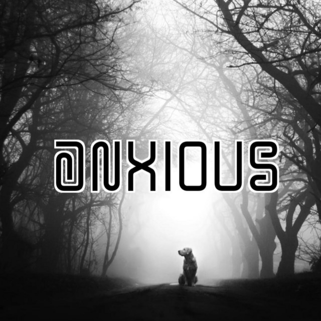 Anxious cover art