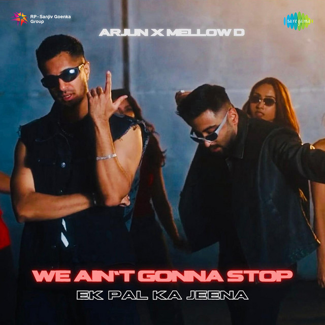 We Ain't Gonna Stop (Ek Pal Ka Jeena ) cover art