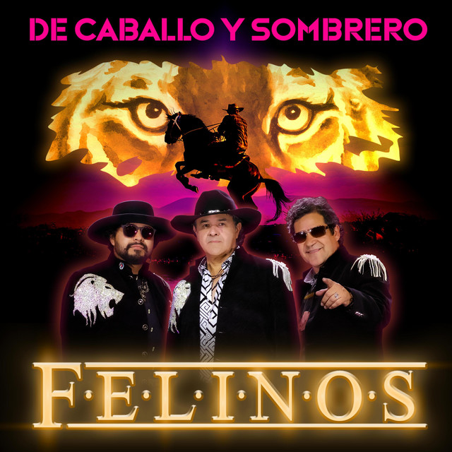 De Caballo y Sombrero artwork