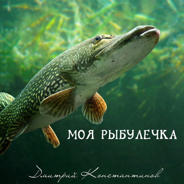 Дмитрий Константинов