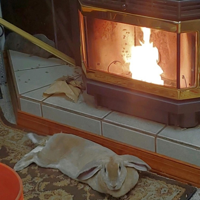 Comfy, Cozy, Classy cover