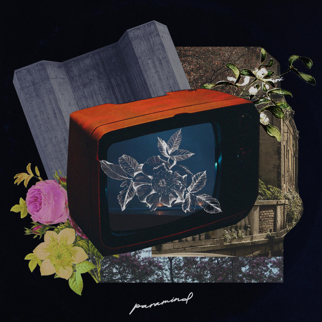 Paramind. cover art