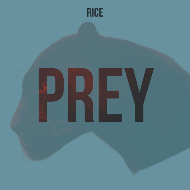 Prey - Single by RICE / DJ Bucket | Spotify