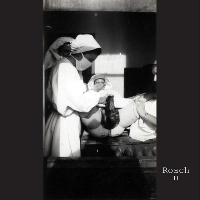 Roach (Disc 2) cover art