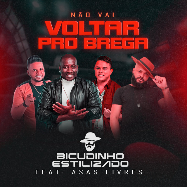 BICUDINHO ESTILIZADO