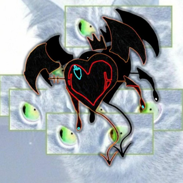 Magic cover art