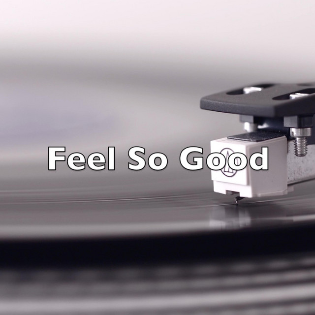 Feel So Good - Single by Pedro Lee | Spotify