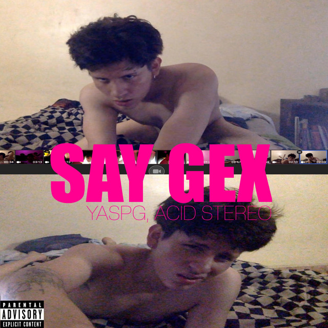 SAY GEX cover art