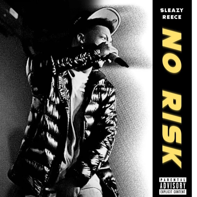 No Risk - Single by Sleazy Reece | Spotify