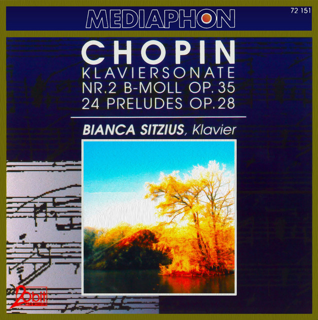 Preludes, Op. 28: No. 15 in D-Flat Major. Sostenuto 