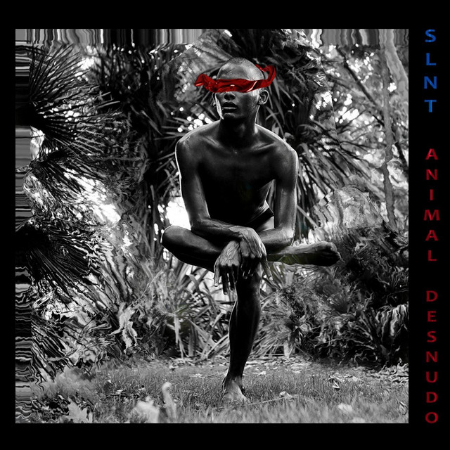Animal Desnudo cover art