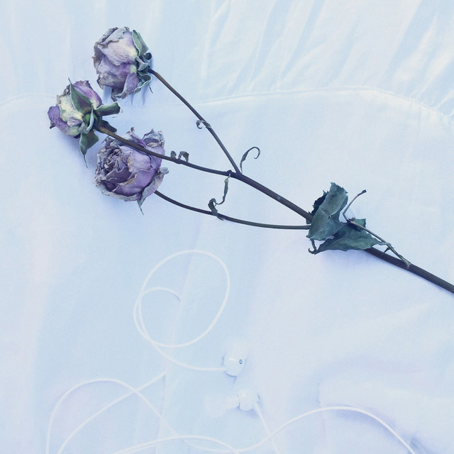 Maybe Something, Maybe Nothing cover art