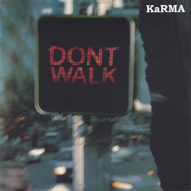 Don't Walk Fly cover art