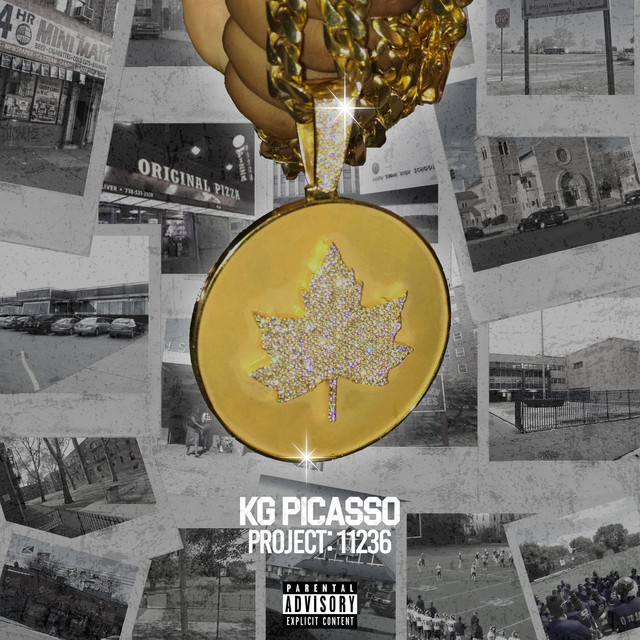 Project: 11236 cover art