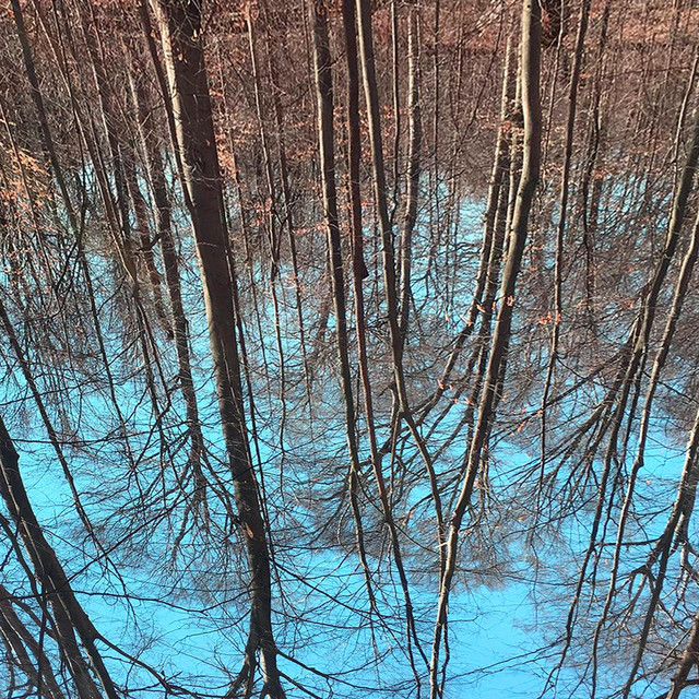 Outside cover art