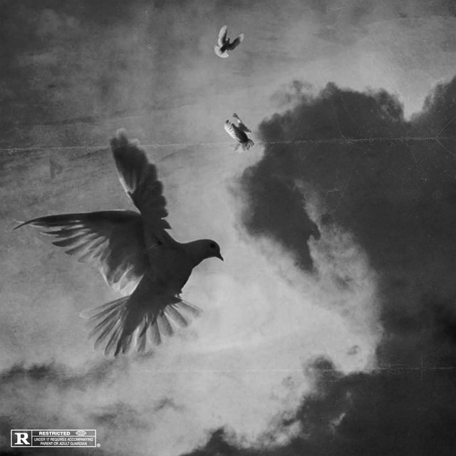 5X (I) cover art