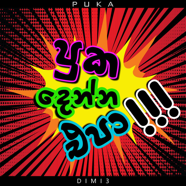 Puka cover art