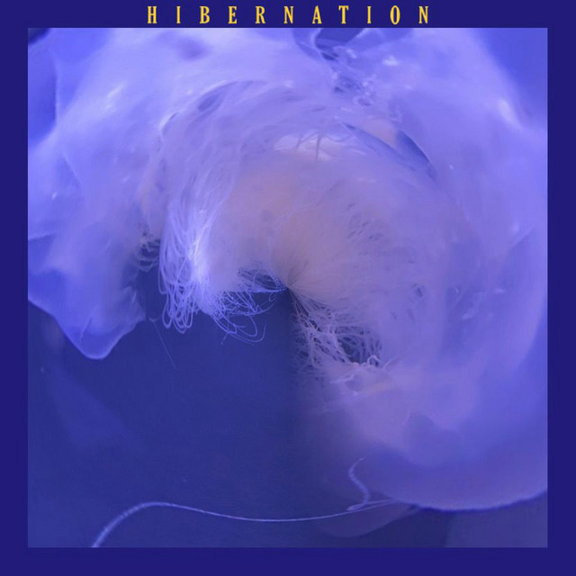 Hibernation cover art
