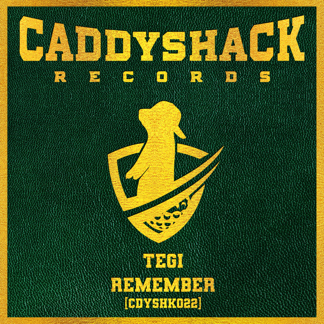 Remember cover art