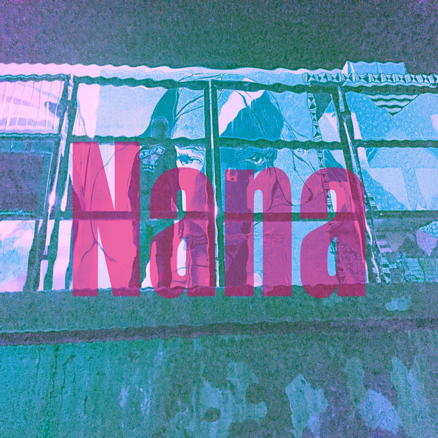 NaNA cover