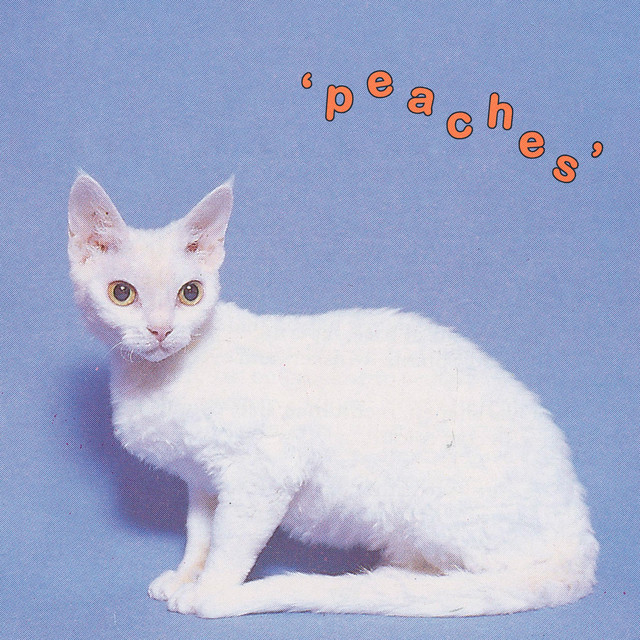 Peaches cover art