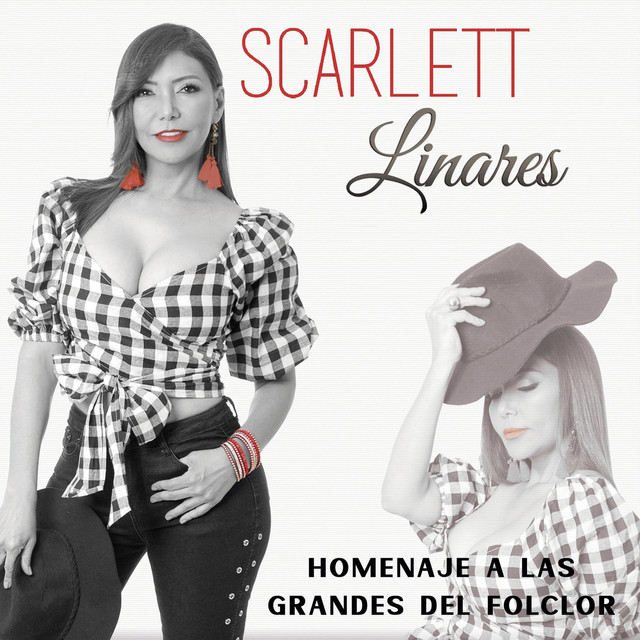 Homenaje a Las Grandes Del Folclor cover art