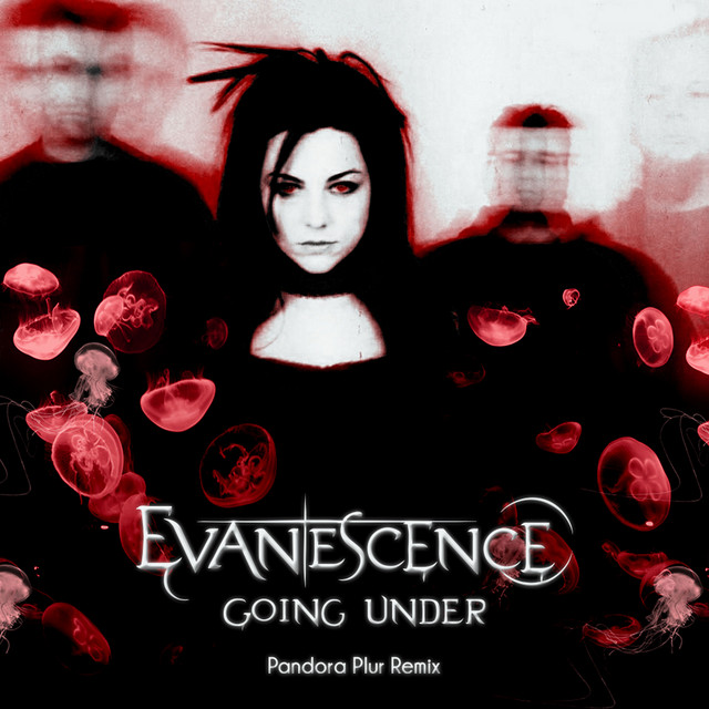 Going Under Evanescence CDシングル エヴァネッセンス