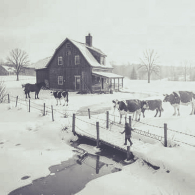 Down on the Farm (Remix)