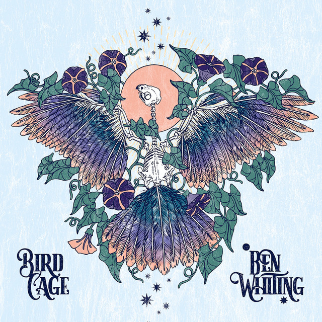 Birdcage cover
