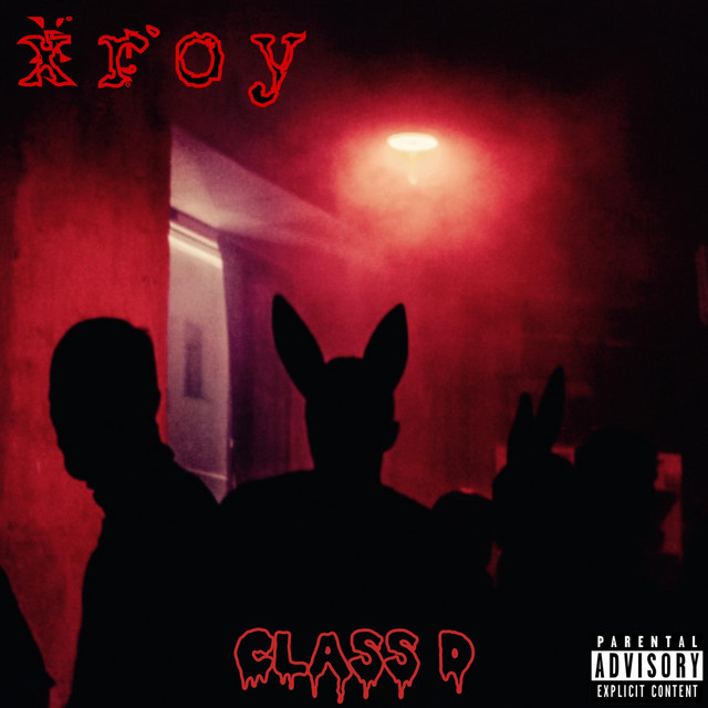 Class D cover art