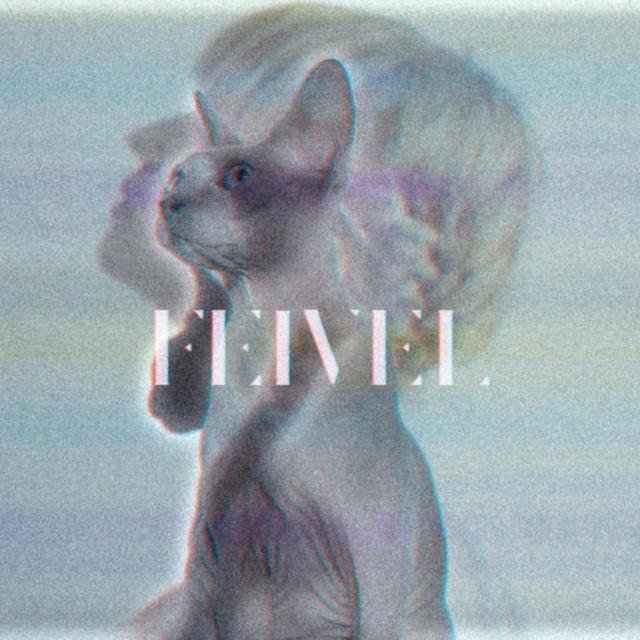 Already Standing cover