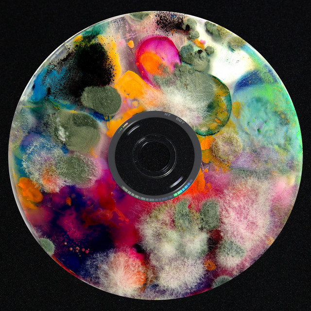 undefined album image