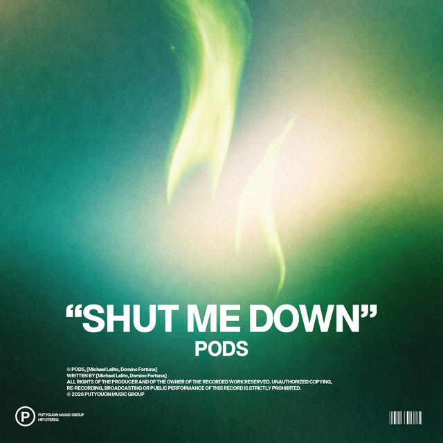 Shut Me Down cover
