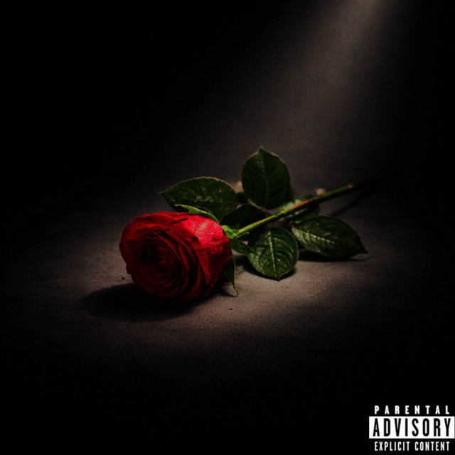 NÃO ESPERE FLORES (FREESTYLE)