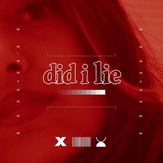 did i lie? cover art