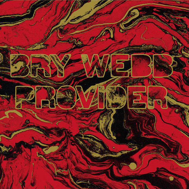 Provider cover art