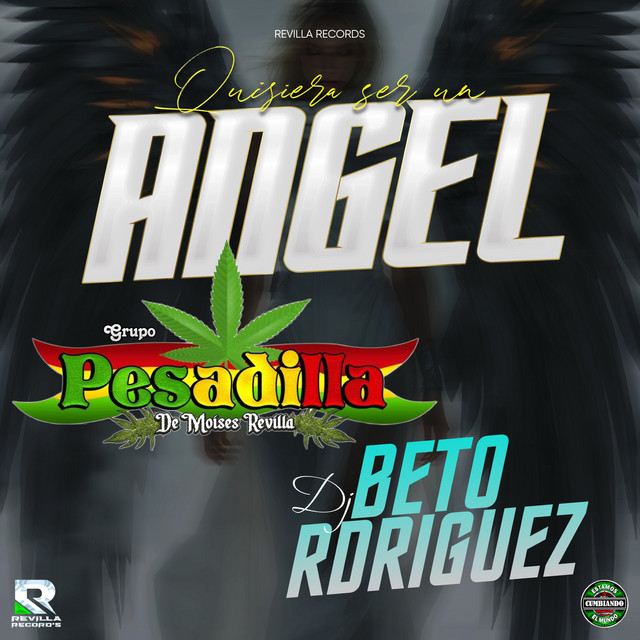 Quisiera Ser un Angel